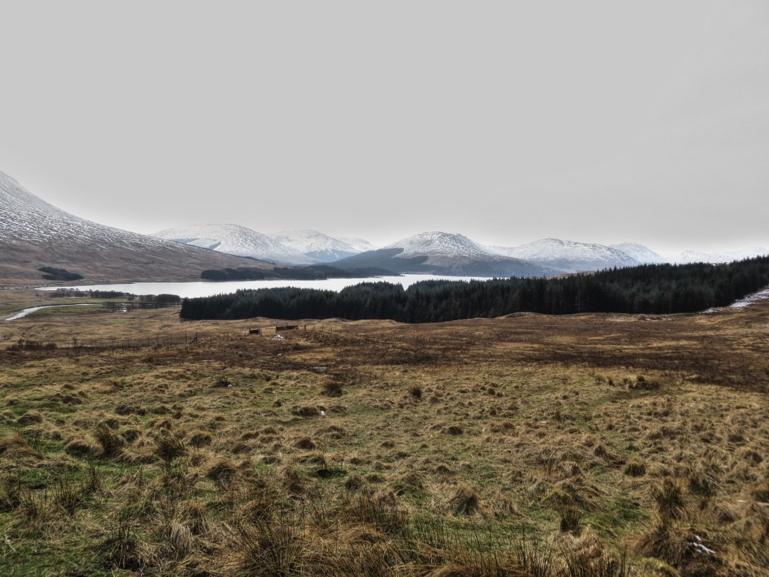 Into the Highlands